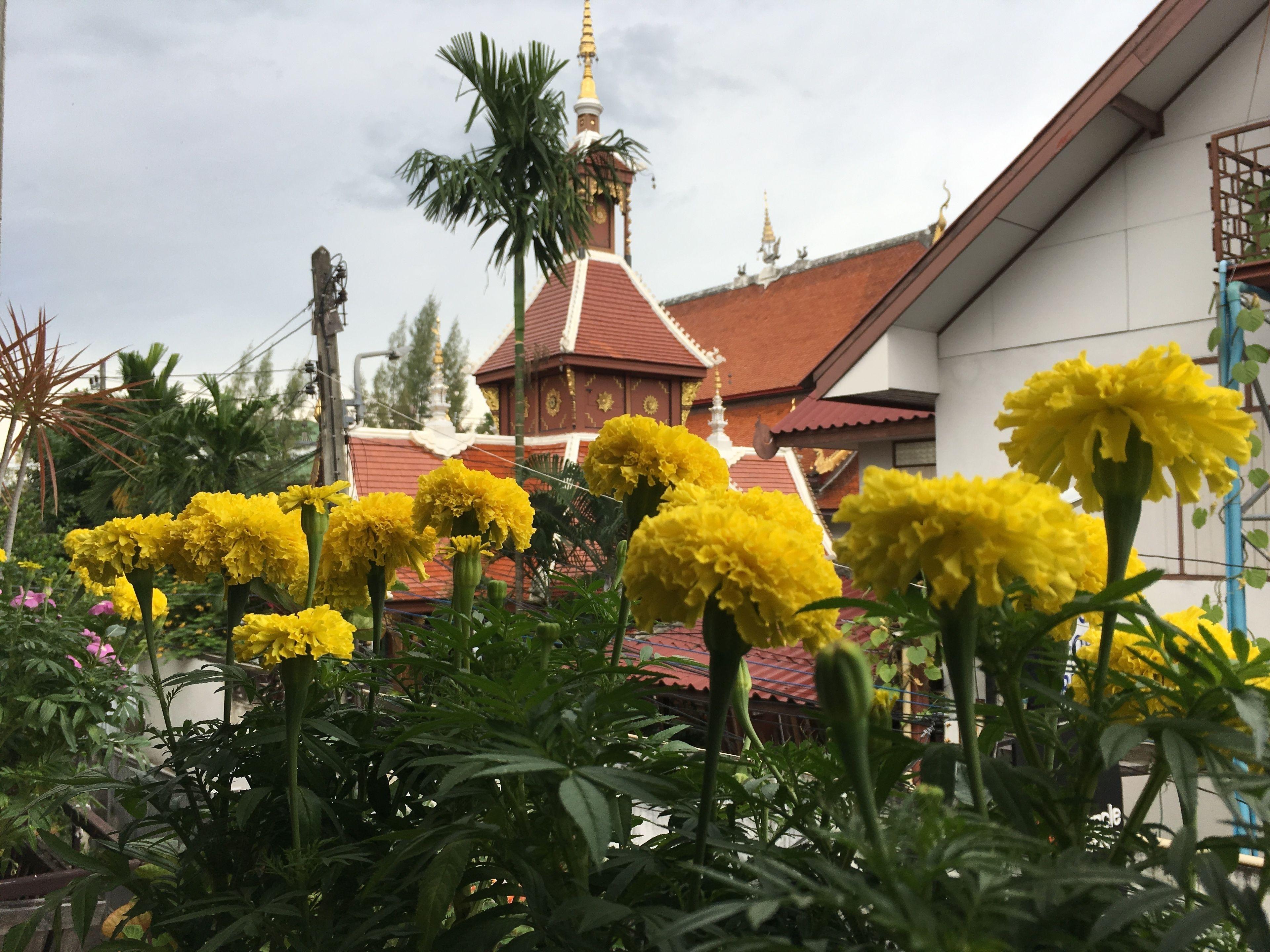 Miracle Boutique Chiang Mai Hotel — Photos 1